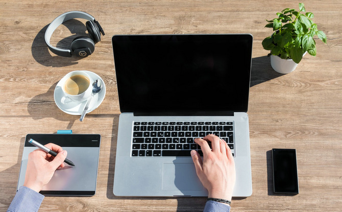 雀碰雀网站建设